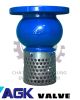ro-bom-agk - ảnh nhỏ  1